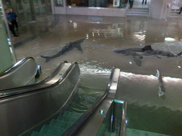 toronto union station flood